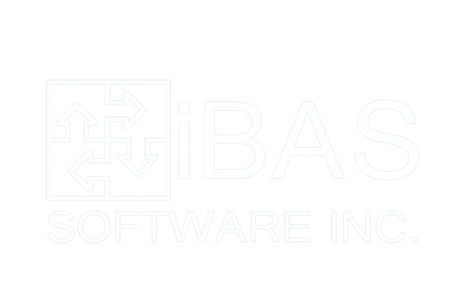 iBAS Software Inc.