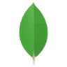 MongoDB